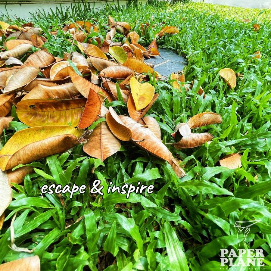 Bed and Breakfast Paper Plane Cnx Чиангмай Экстерьер фото